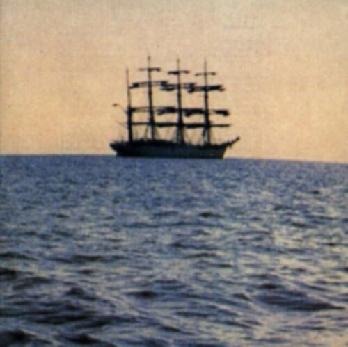 THE DOCTOR CAME AT DAWN