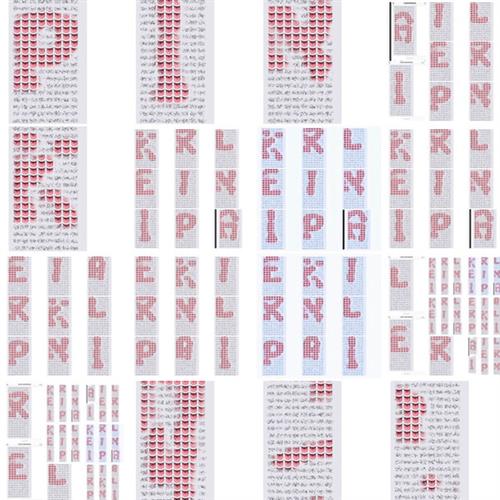 SIT N’ SPIN