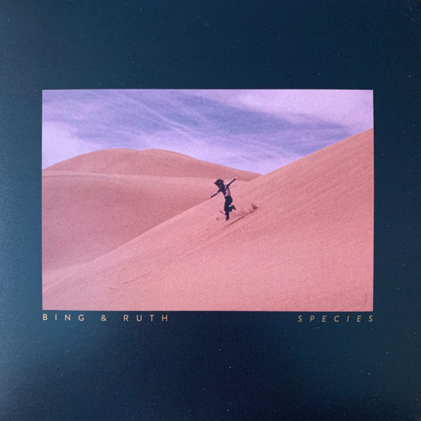 In attesa dell'immagine del prodotto