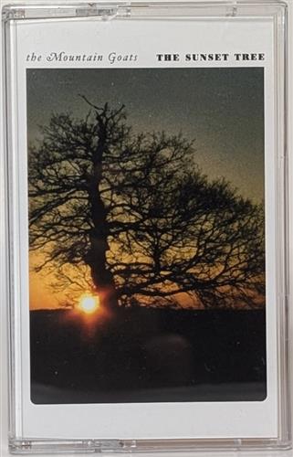 THE SUNSET TREE