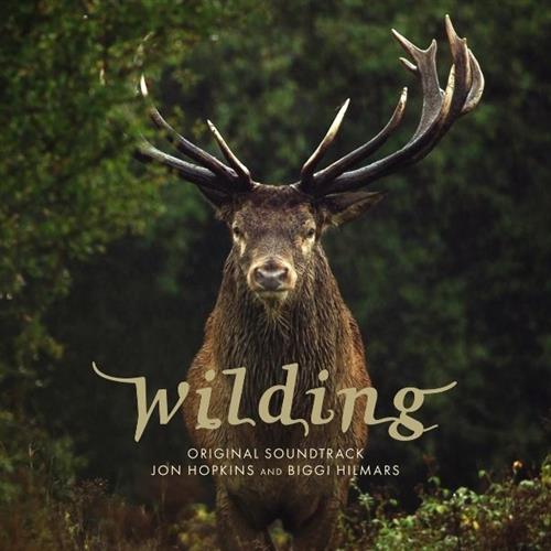 WILDING – OST