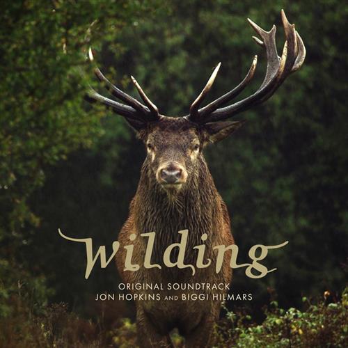 WILDING – OST
