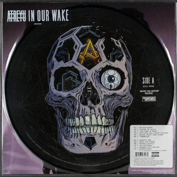 IN OUR WAKE – PICTURE DISC