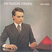 THE PLEASURE PRINCIPLE