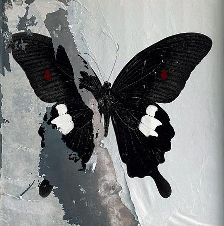 PARADISE NOW – CRYSTAL CLEAR WITH BLACK AND WHITE SPLATTER VINYL