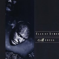 MEDUSA – NEW EDITION