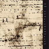 AND WHO SHALL GO TO THE BALL