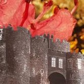 MICROCASTLE/WEIRD ERA CONTINUE