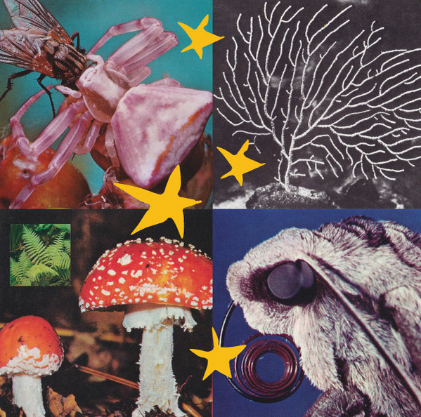 ALL THINGS CONSIDERED VOL2