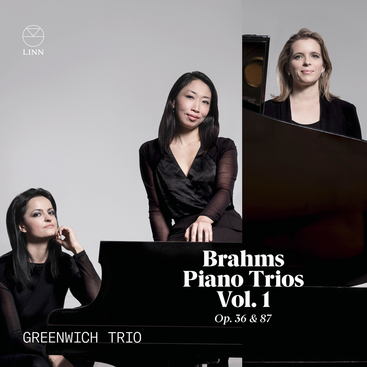 PIANO TRIOS VOL 1 – OP 36 & 87
