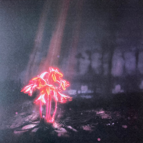 A KISS FOR THE WHOLE WORLD