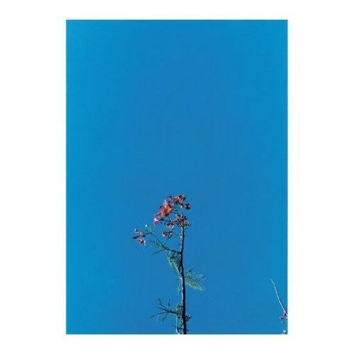 AND THE YS STREET BAND