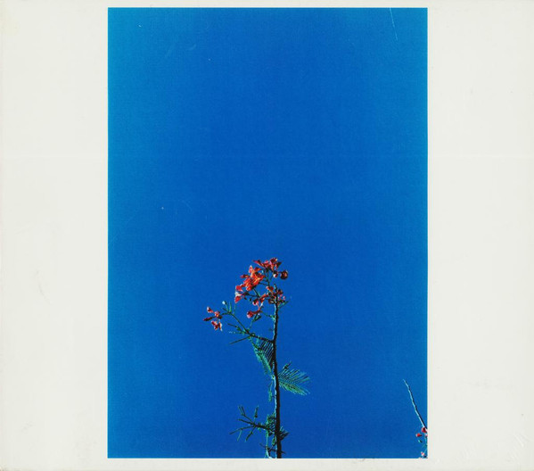 AND THE YS STREET BAND