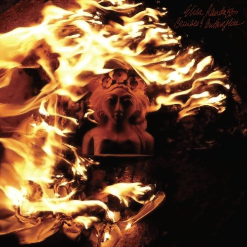 BRUISES AND BUTTERFLIES