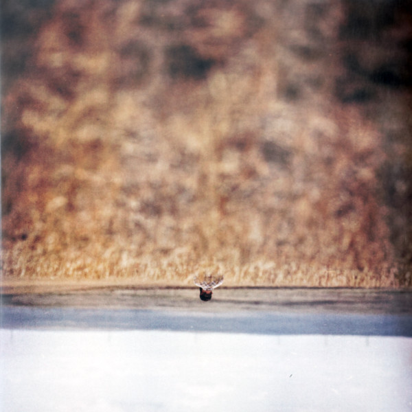 HANDS THAT BIND – OST