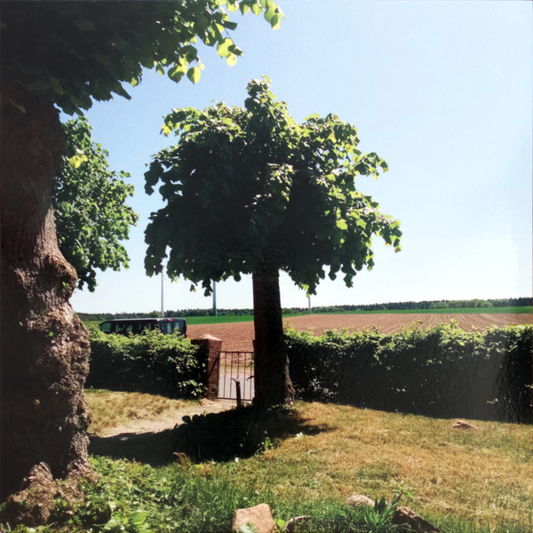 INTO THE SECOND HALF