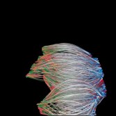 UNIVERSAL EVERYTHING  YOU