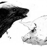 HONEY BADGER / PIG