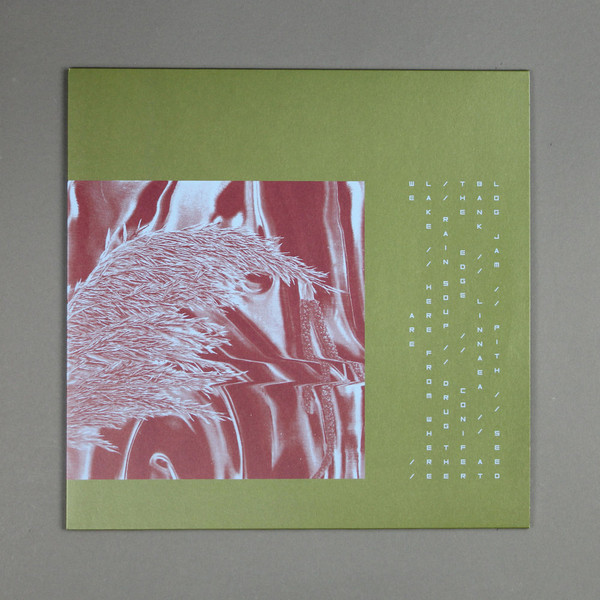 In attesa dell'immagine del prodotto