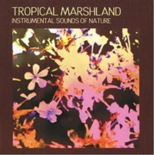 TROPICAL MARSHLAND