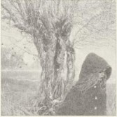 BETWEEN THE EARTH AND SKY