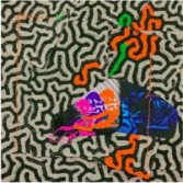 In attesa dell'immagine del prodotto