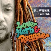 LOVE HERB  REGGAE