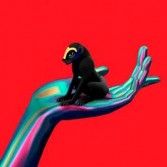 WONDER WHERE WE LAND