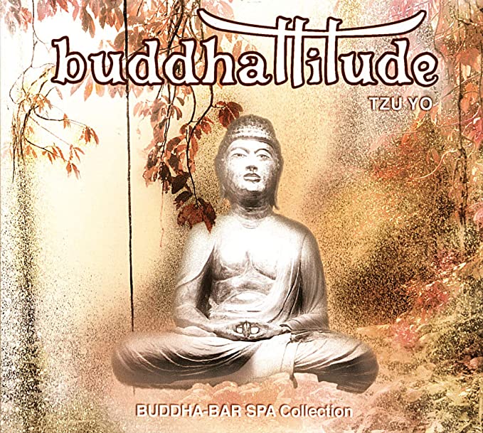 BUDDHATTITUDE VI