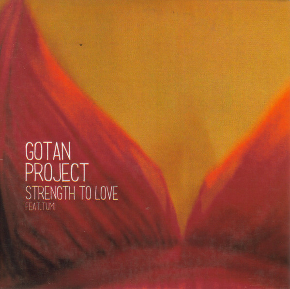 STRENGTH TO LOVE-CHECKMATE