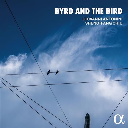 BYRD AND THE BIRD