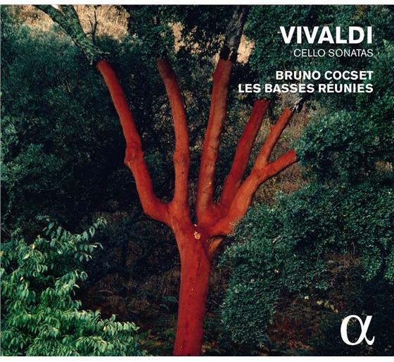 SONATE PER VIOLONCELLO