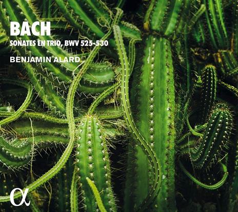 BACH SONATES EN TRIO  BWV 525 530
