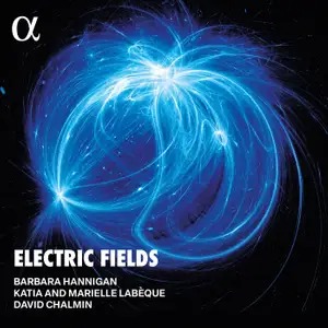 ELECTRIC FIELDS