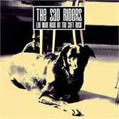 LAY YOUR HEAD ON THE SOFT ROCK