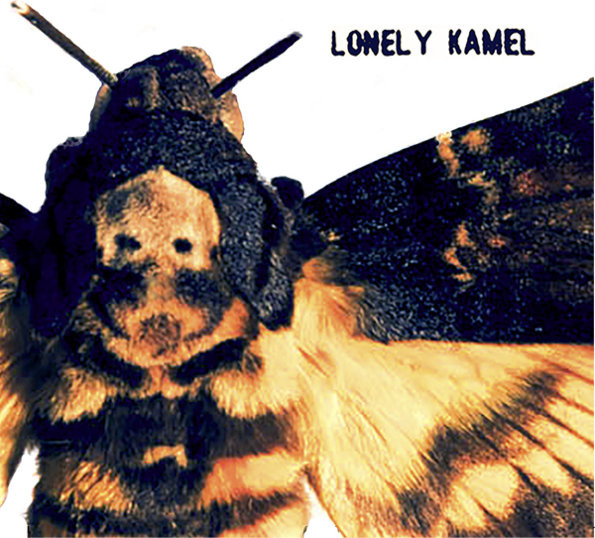 DEATHS HEAD HAWKMOTH