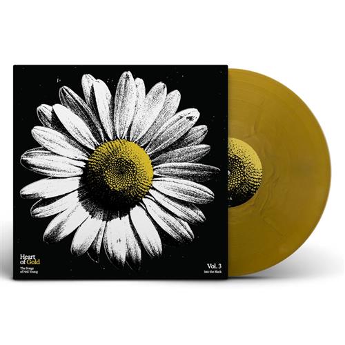 INTO THE BLACK – 180GR GOLD VINYL
