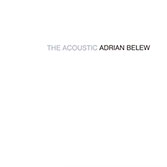 THE ACOUSTIC ADRIAN BELEW