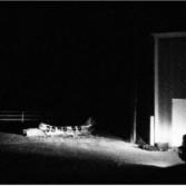 LAST BUILDING BURNING