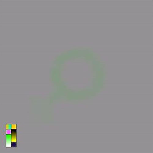 EXCELSIOR – WHITE VINYL