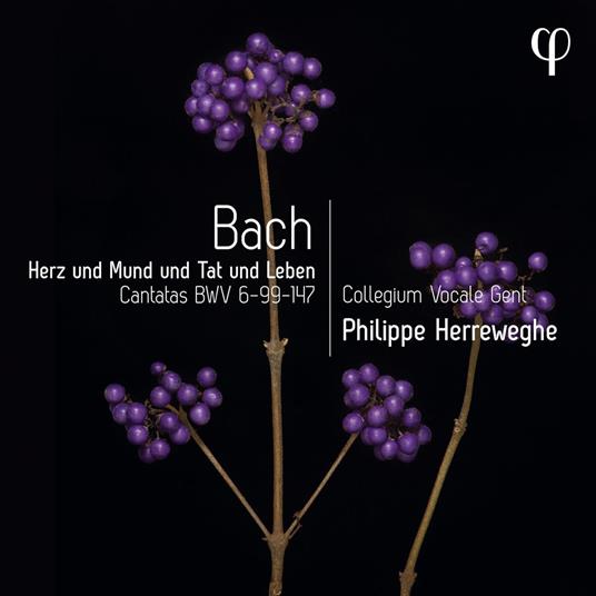 HERZ UND MUND UND TAT UND LEBEN – BACH CANTATAS BWV 6-99-147