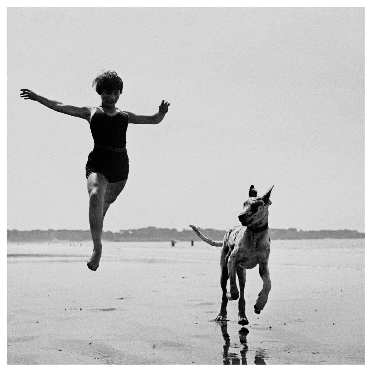 In attesa dell'immagine del prodotto