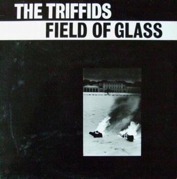FIELD OF GLASS (EP)