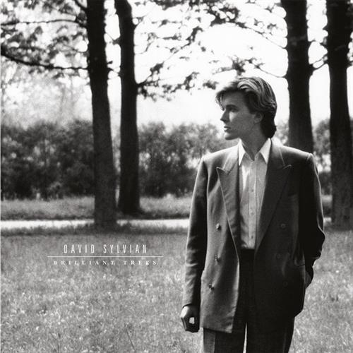 BRILLIANT TREES – 2003 REMASTERED