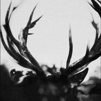 IHSAHN – BLACK YOLK VINYL