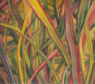 WHERE WILDNESS GROWS