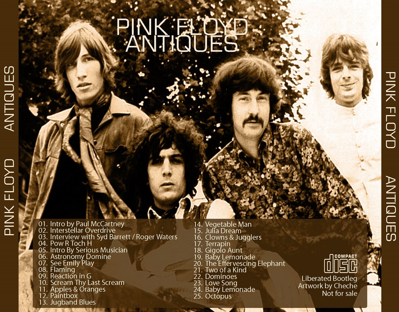 FLAMMING/VEGETABLE MAN