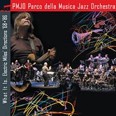 WHAT IT IS-ELECTRIC MILESDIRE