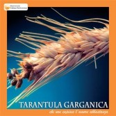 CHI NON CAPISCE LAMORE ABBAST