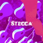 STECCA